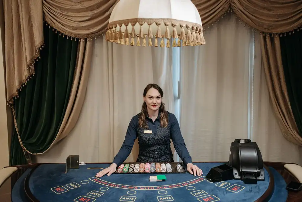 Professional Casino Dealer